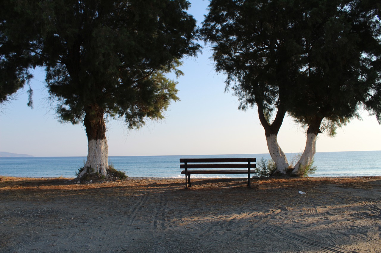 beach  the coast  bench free photo