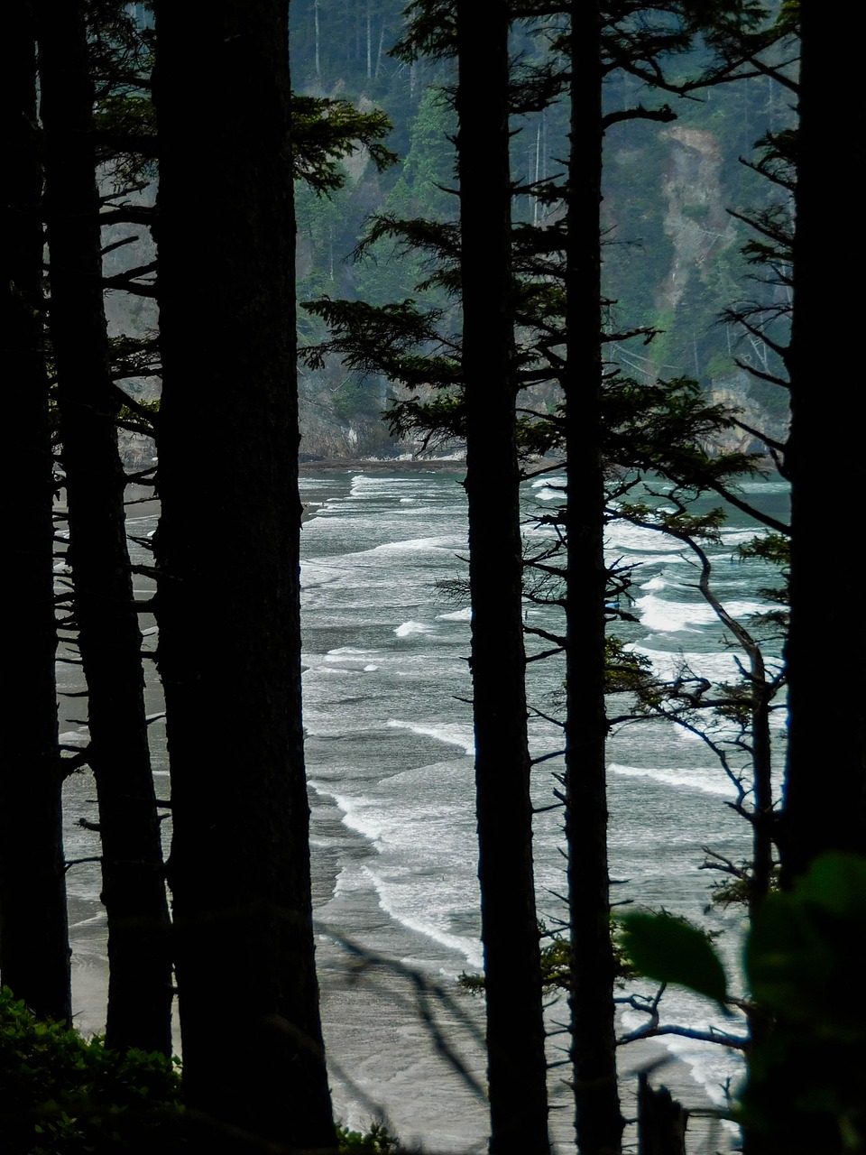 beach  ocean  oregon free photo