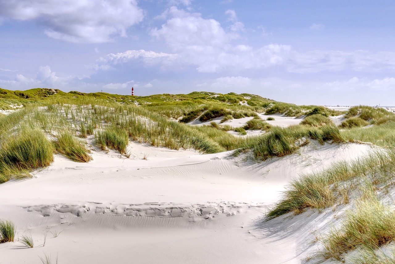beach  dunes  sand free photo