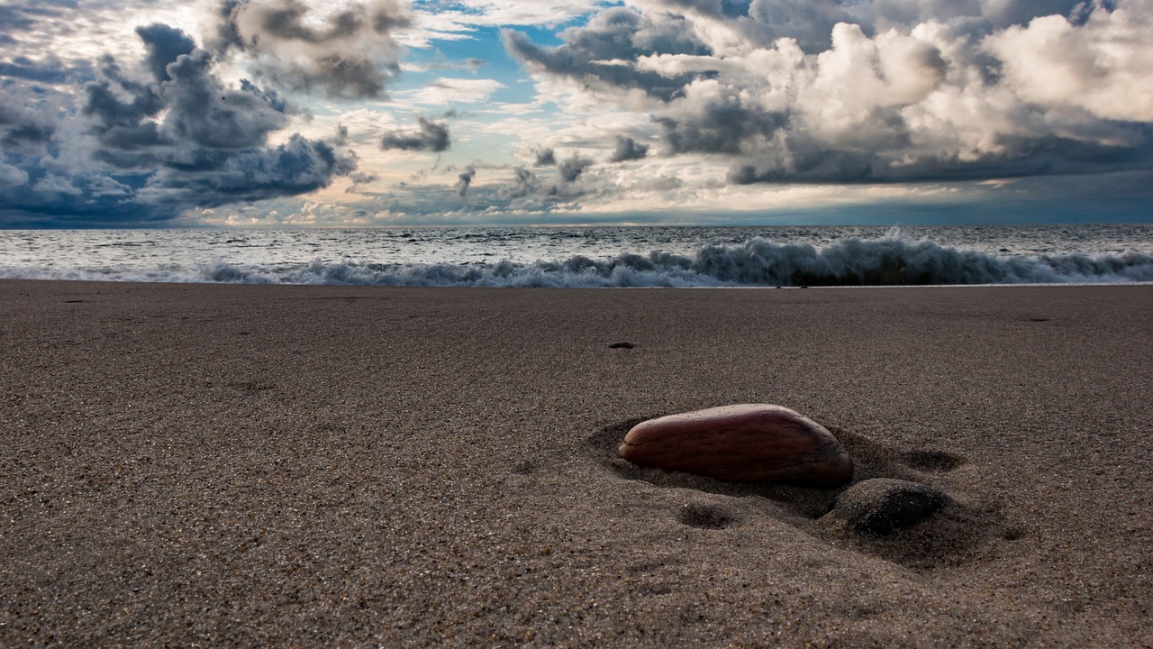 beach  sea  north sea free photo