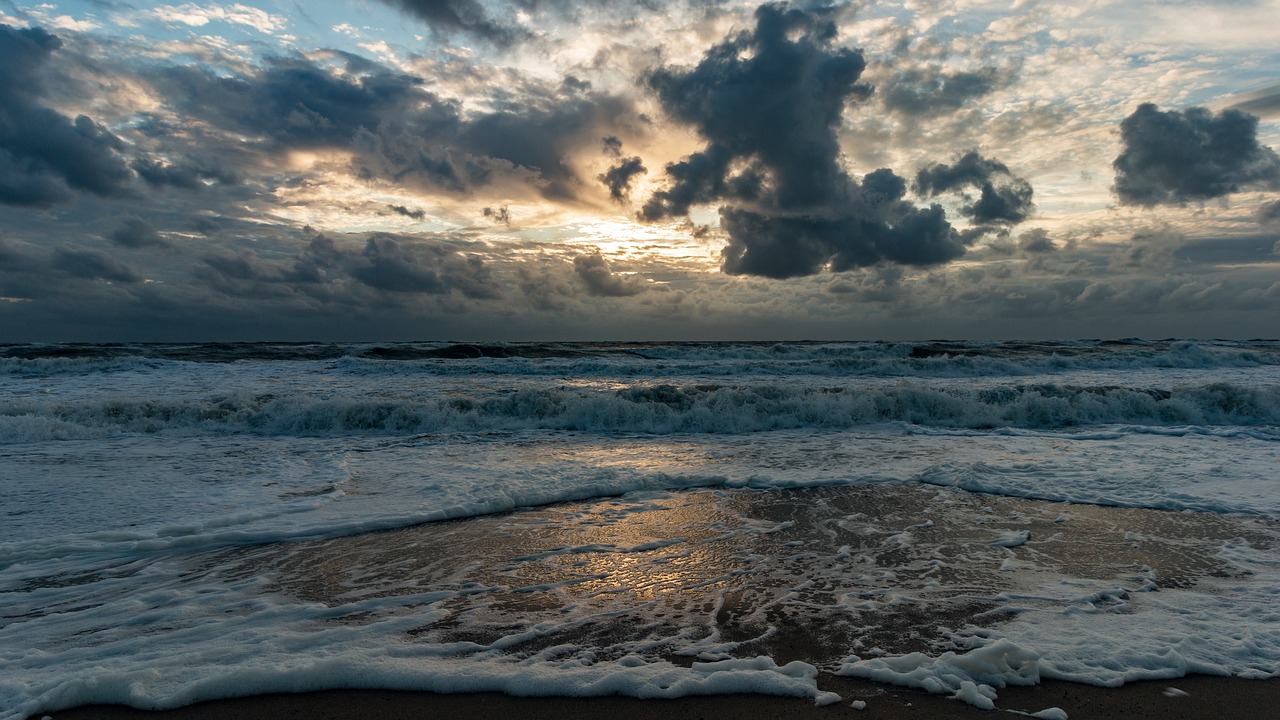 beach  sea  north sea free photo