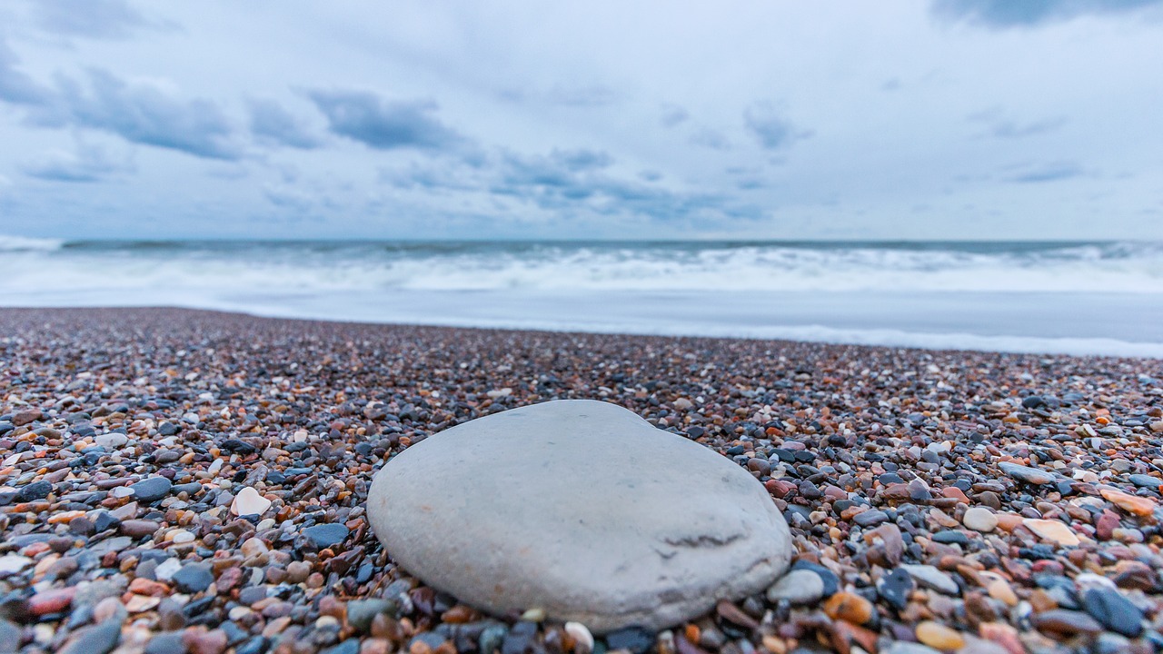 beach  sea  north sea free photo