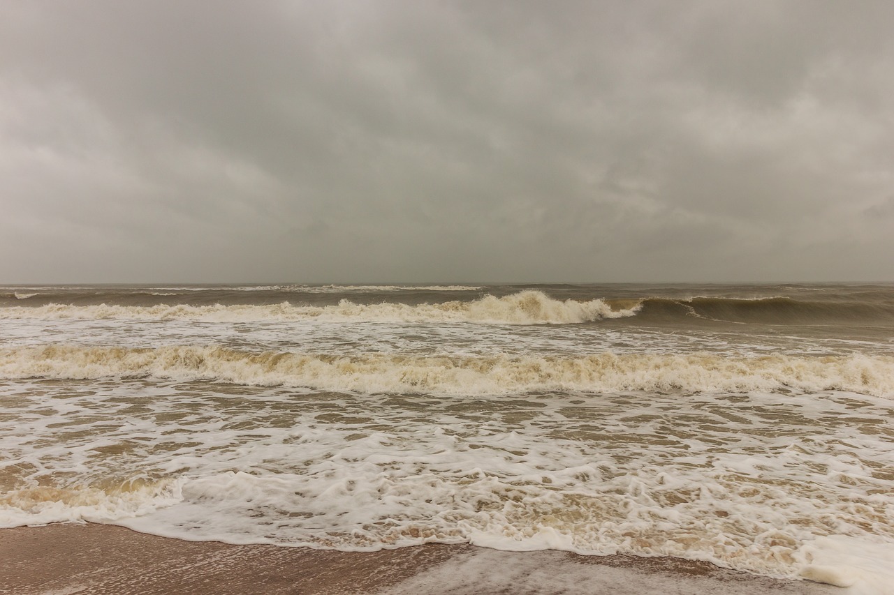 beach  sea  north sea free photo