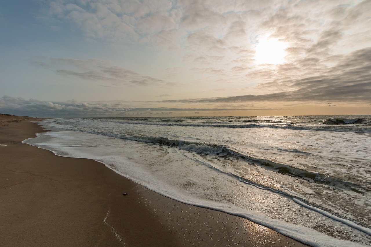 beach  north sea  sea free photo