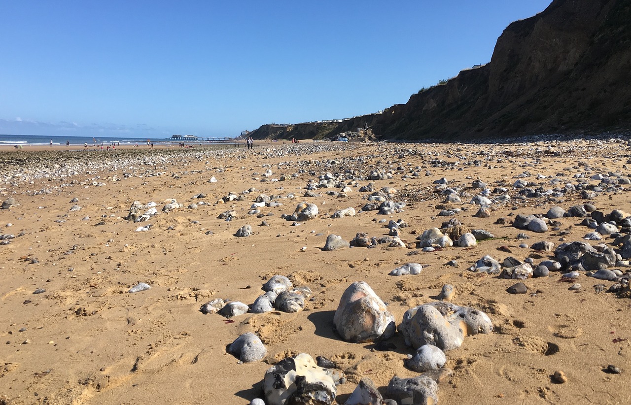 beach  rocks  summer free photo