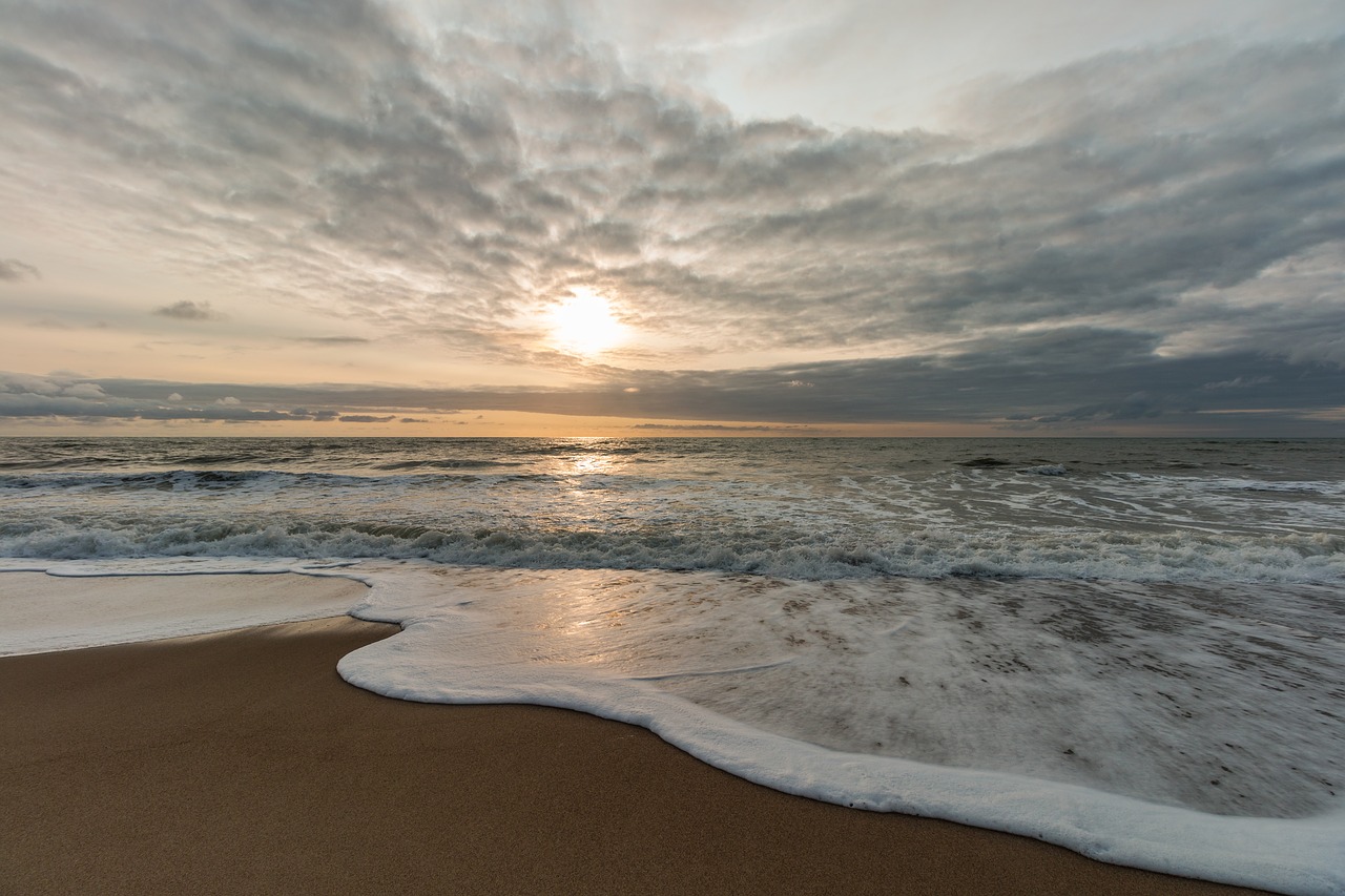 beach  denmark  sea free photo