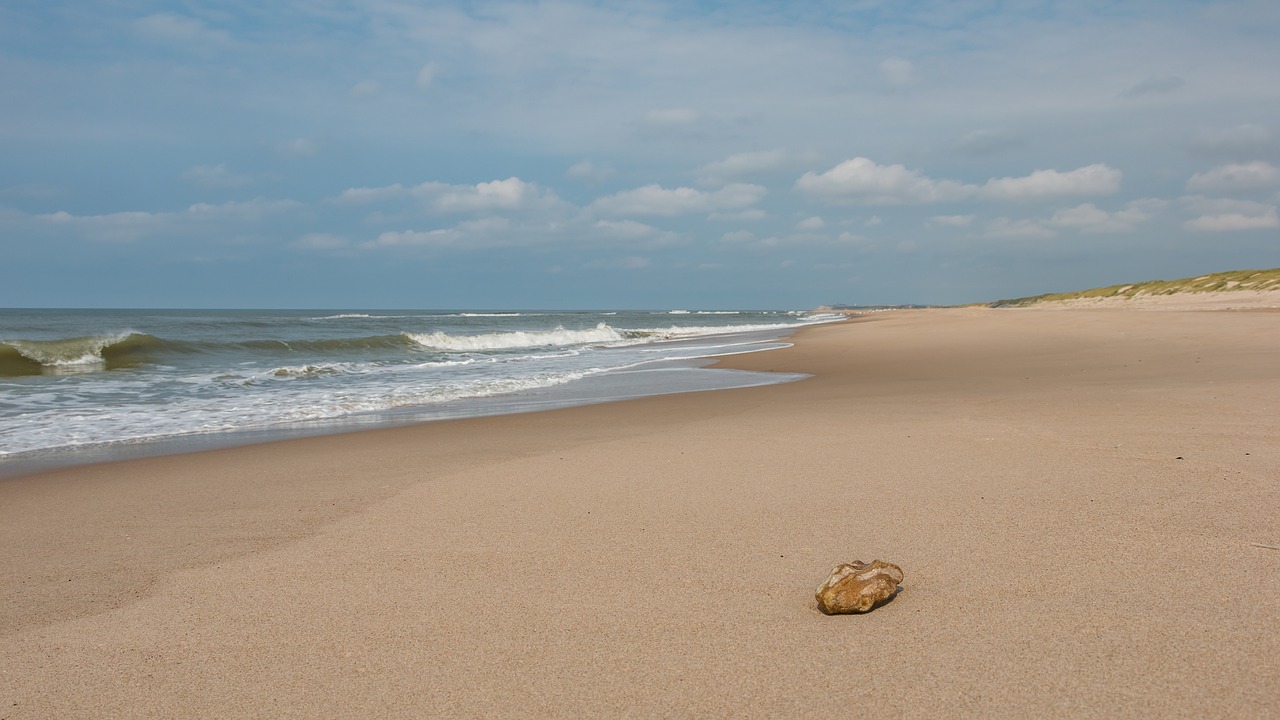 beach  denmark  sea free photo