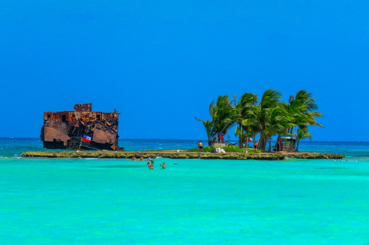 beach  colombia  palms free photo