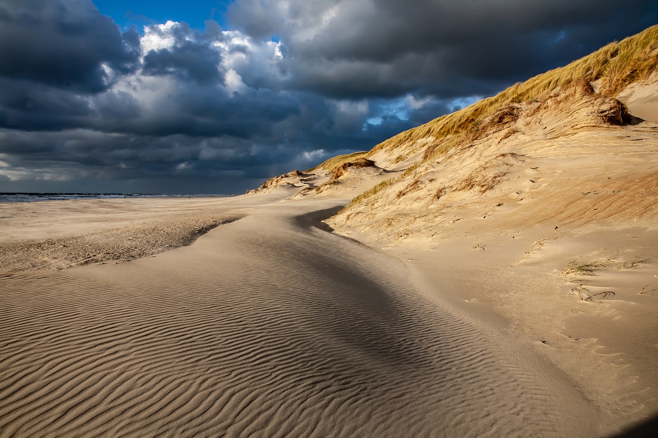 beach  dunes  sand free photo