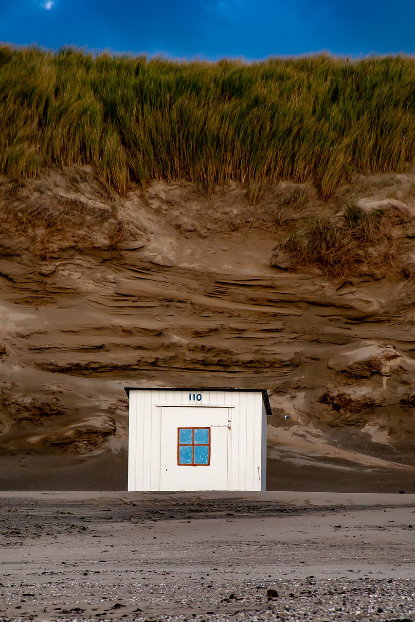 beach  sand  dune free photo