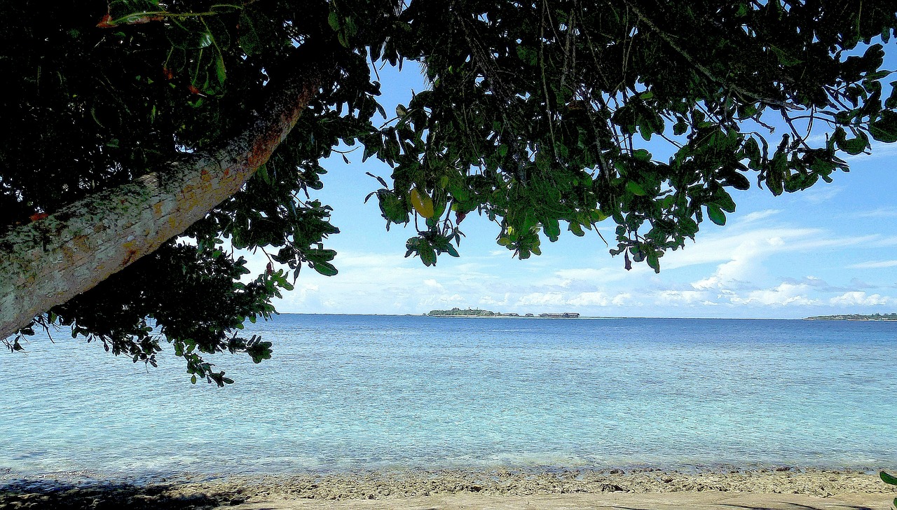 beach ocean blue free photo