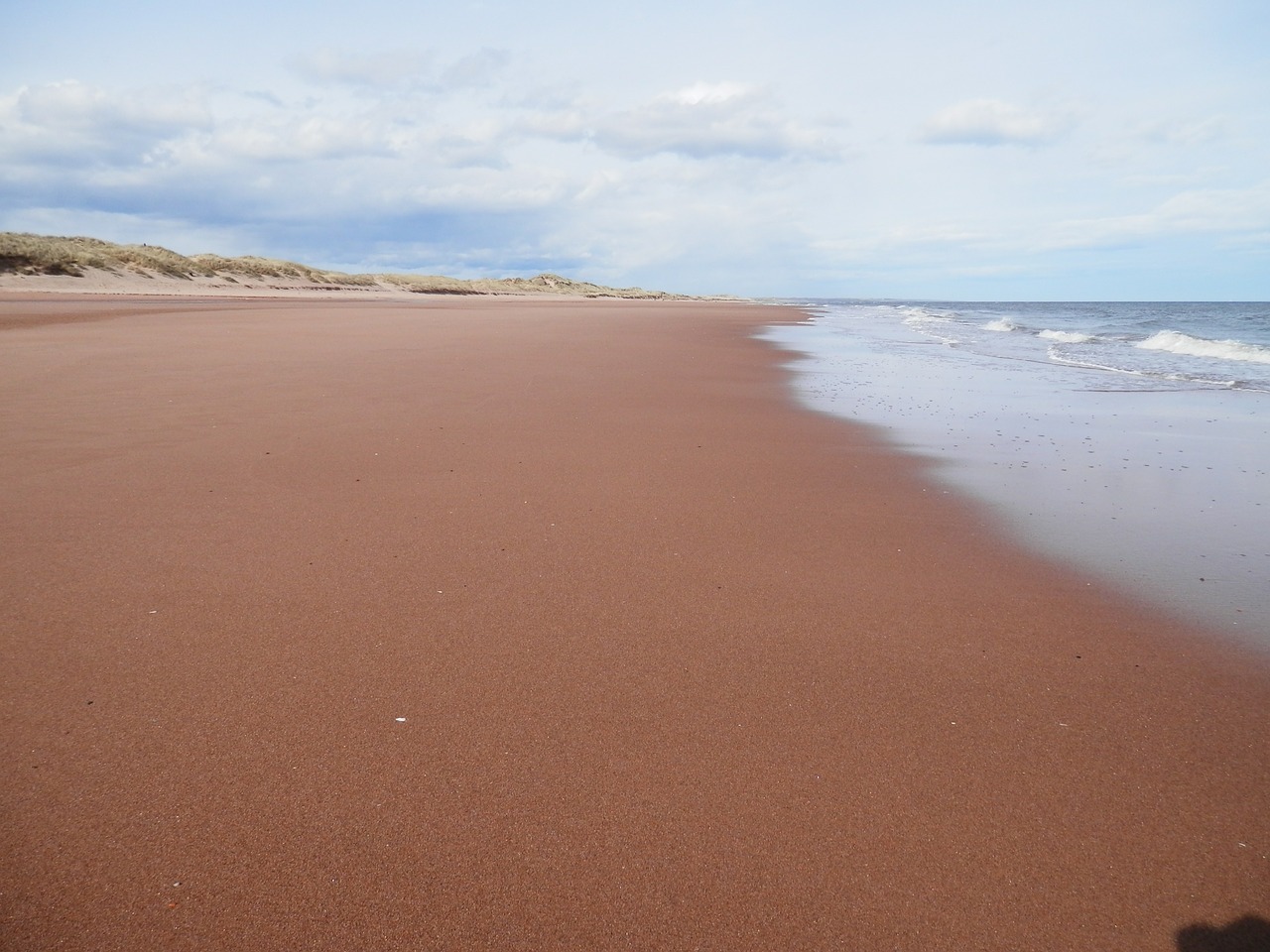 beach sea nature free photo