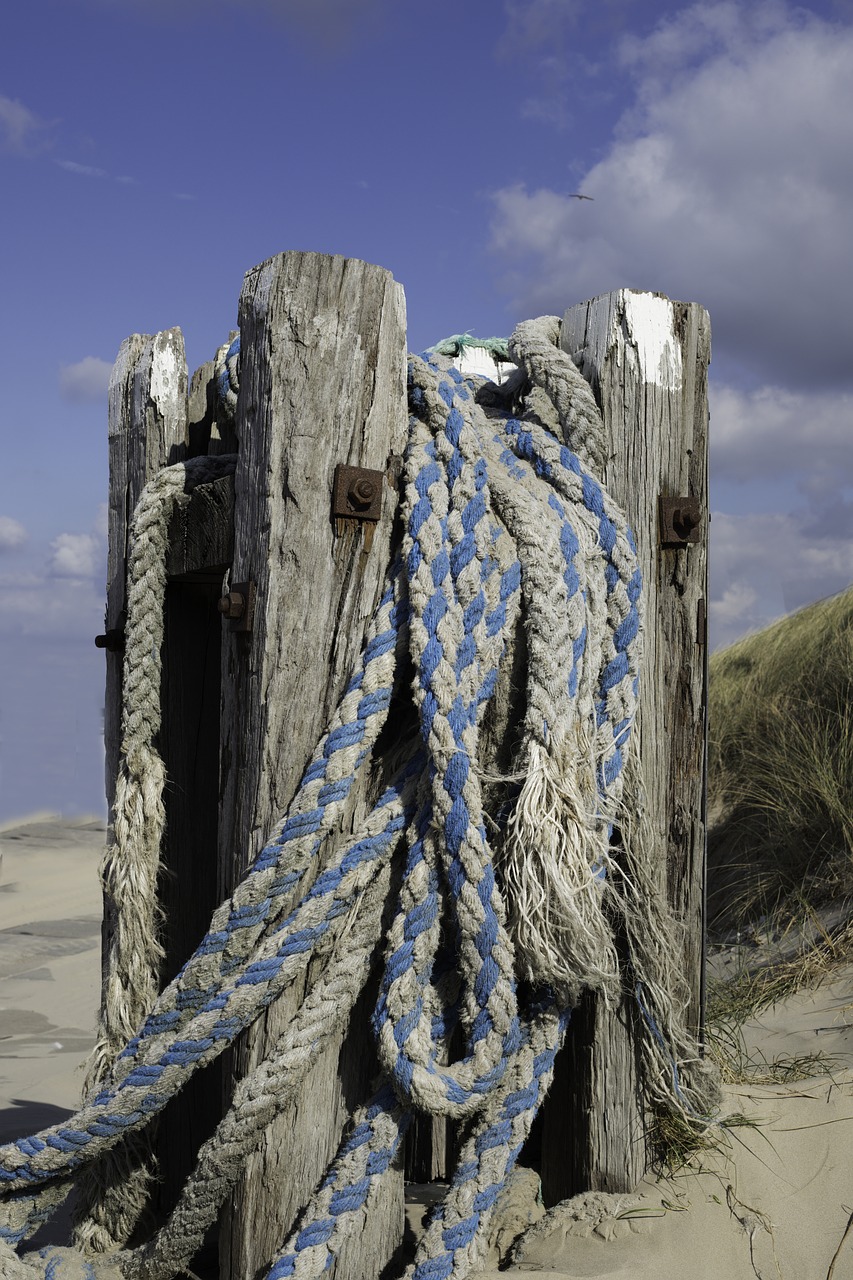 beach  sea  mooring free photo