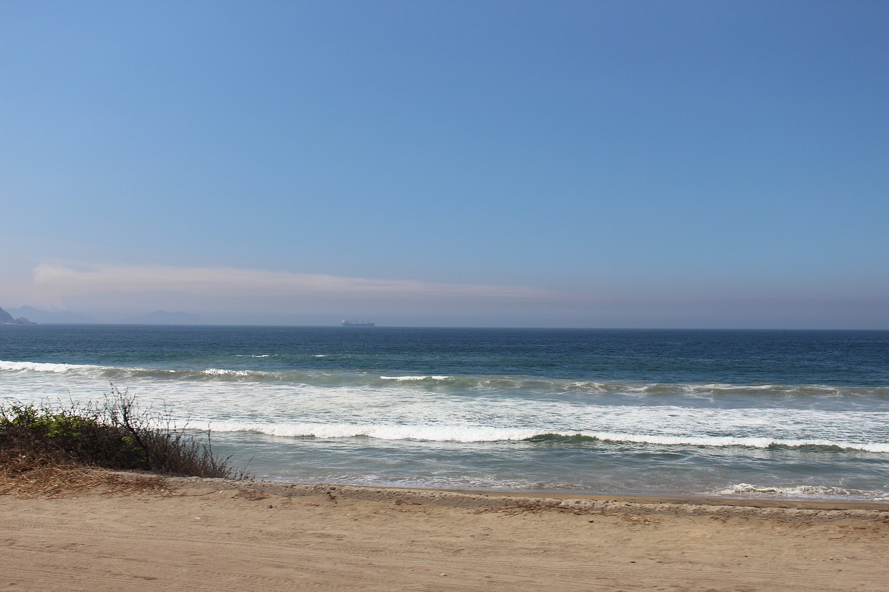 beach  sea  ocean free photo