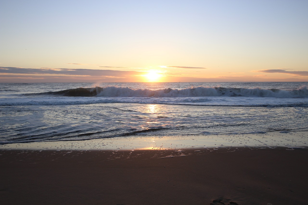 beach  sunrise  ocean free photo