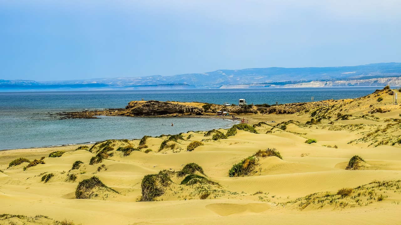 beach  dunes  sand free photo