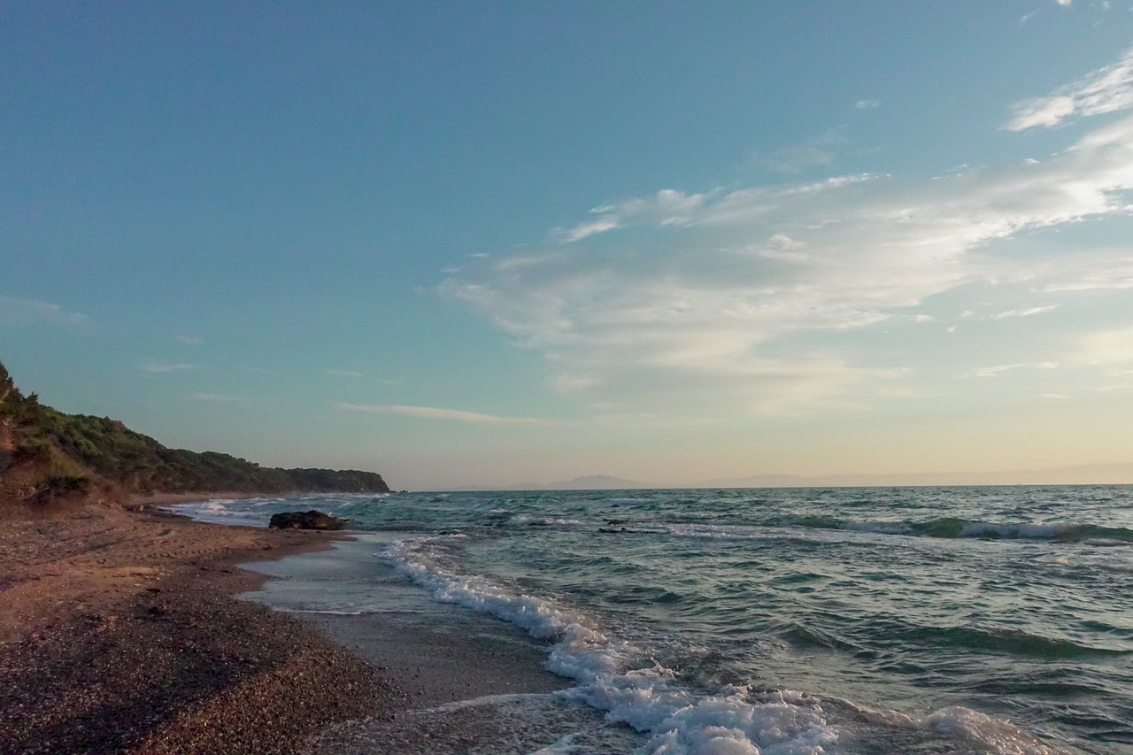 beach  wave  sea free photo