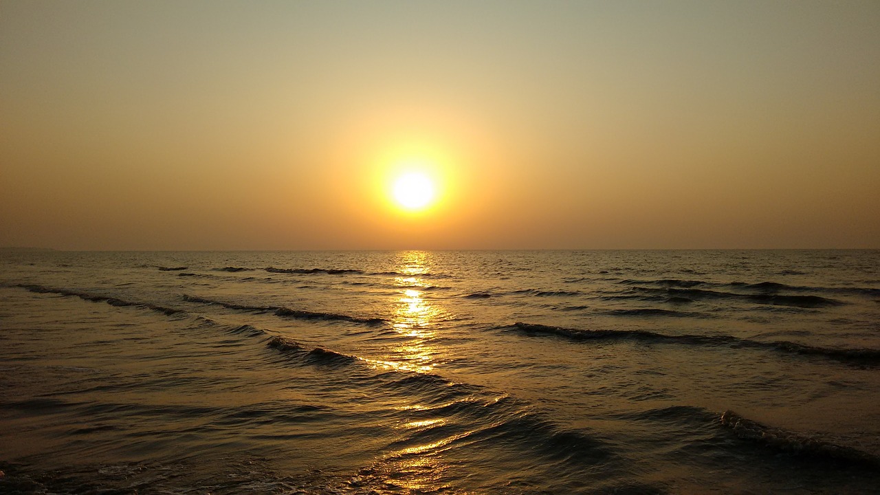 beach  sea shore  coast free photo