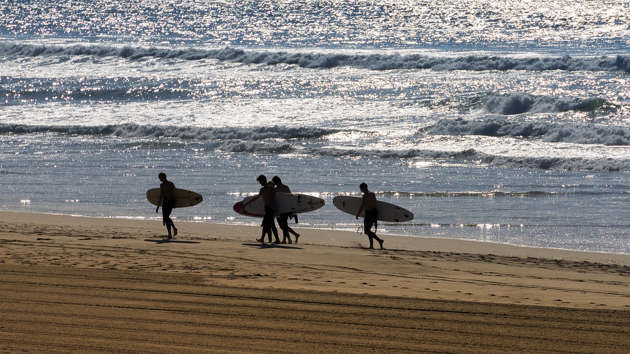 beach  sea  surf free photo