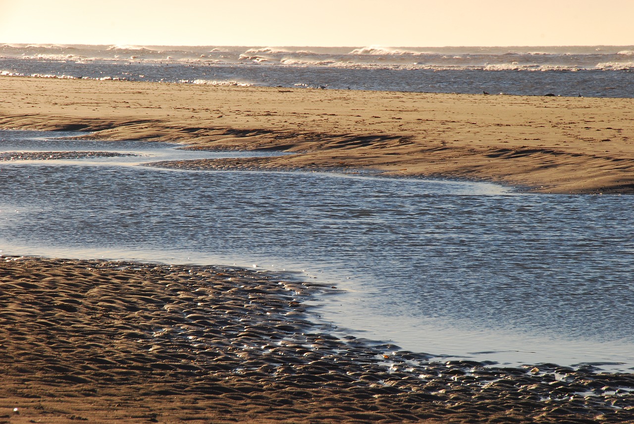 beach  sea  air free photo