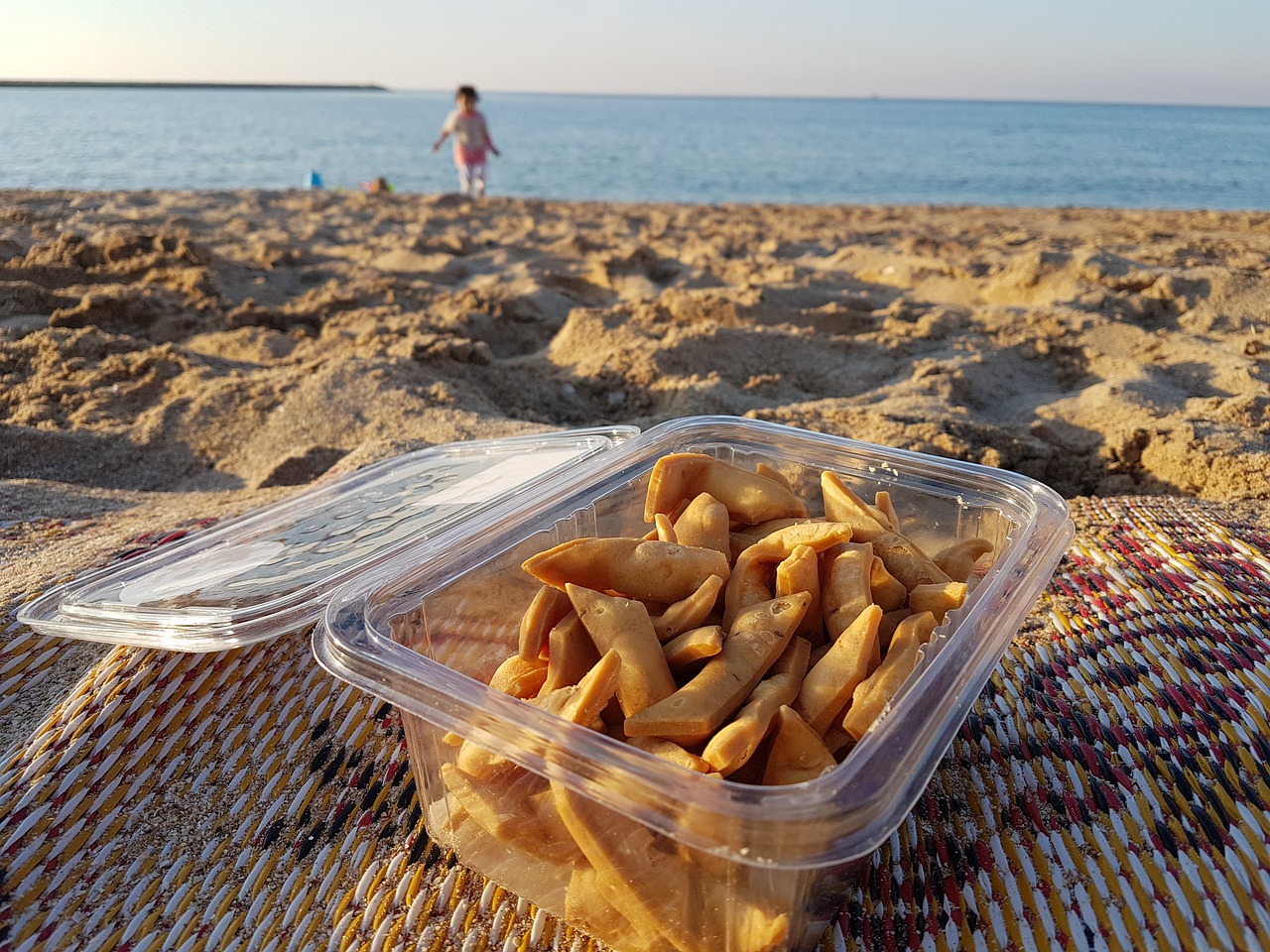 beach  sea  food free photo