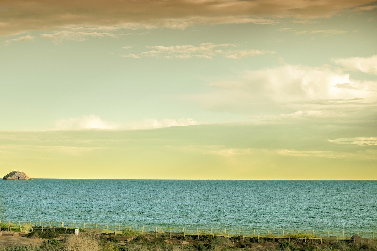 beach  clouds  sky free photo