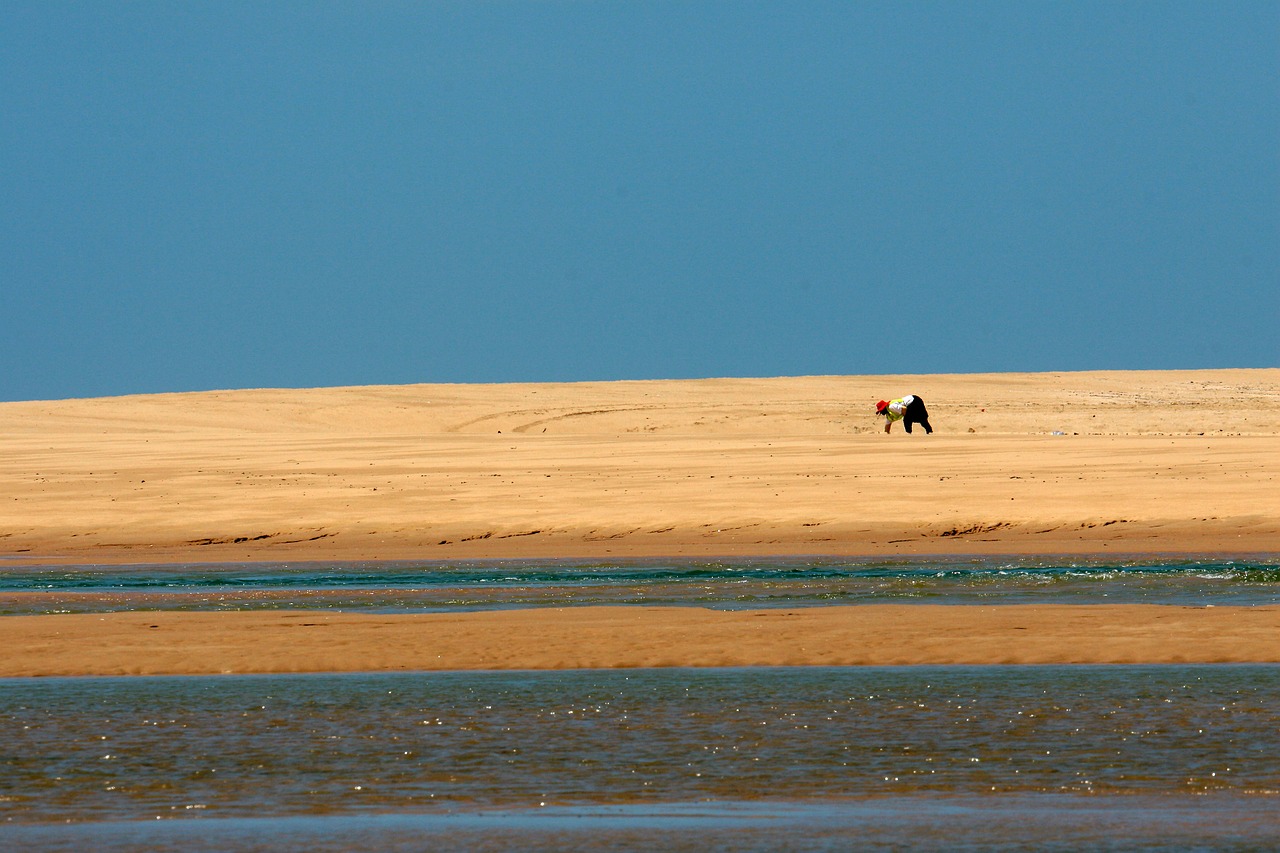 beach sand dune free photo