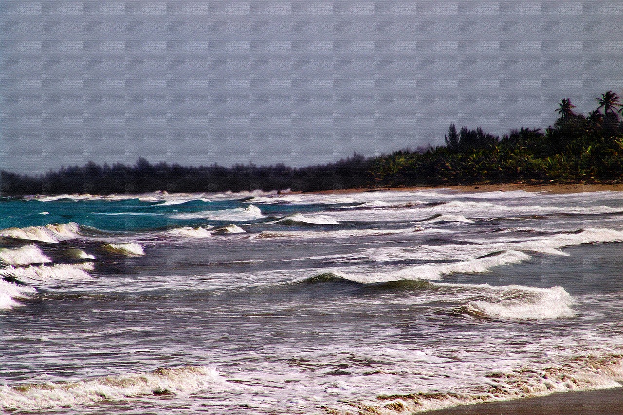 beach  sand  water free photo