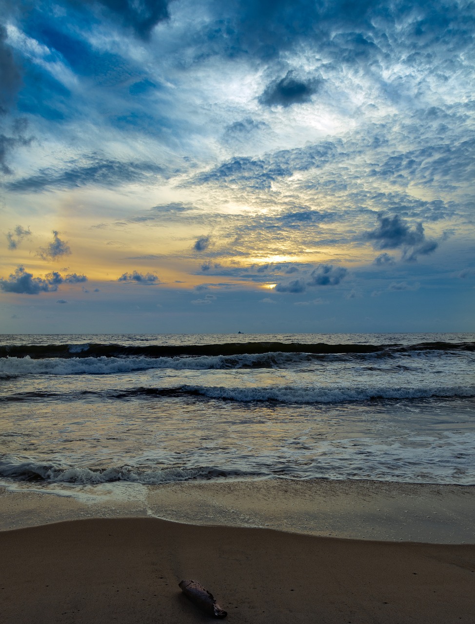 beach  morning  water free photo