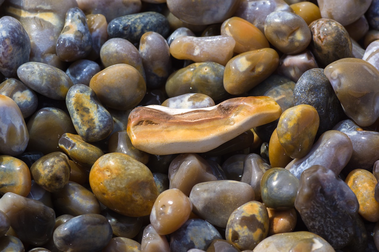 beach  stones  petrified free photo