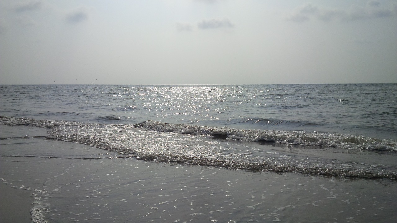 beach  sunlight  kerala free photo