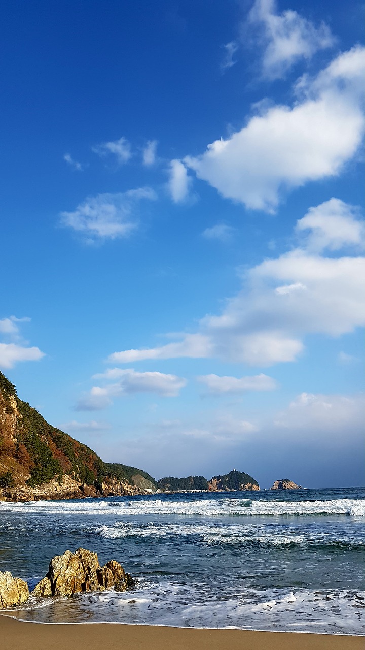 beach  sea  sand free photo