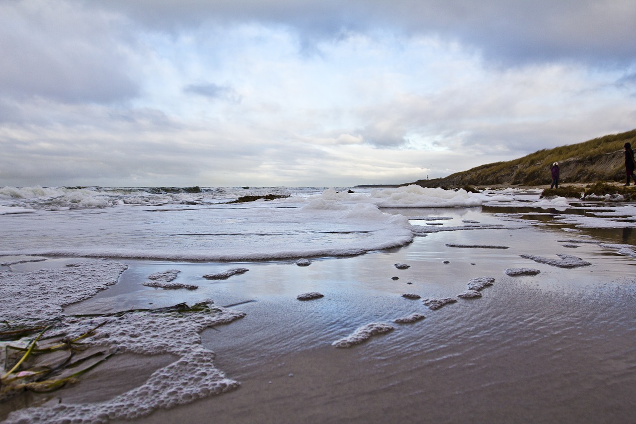 beach  spray  baltic sea free photo