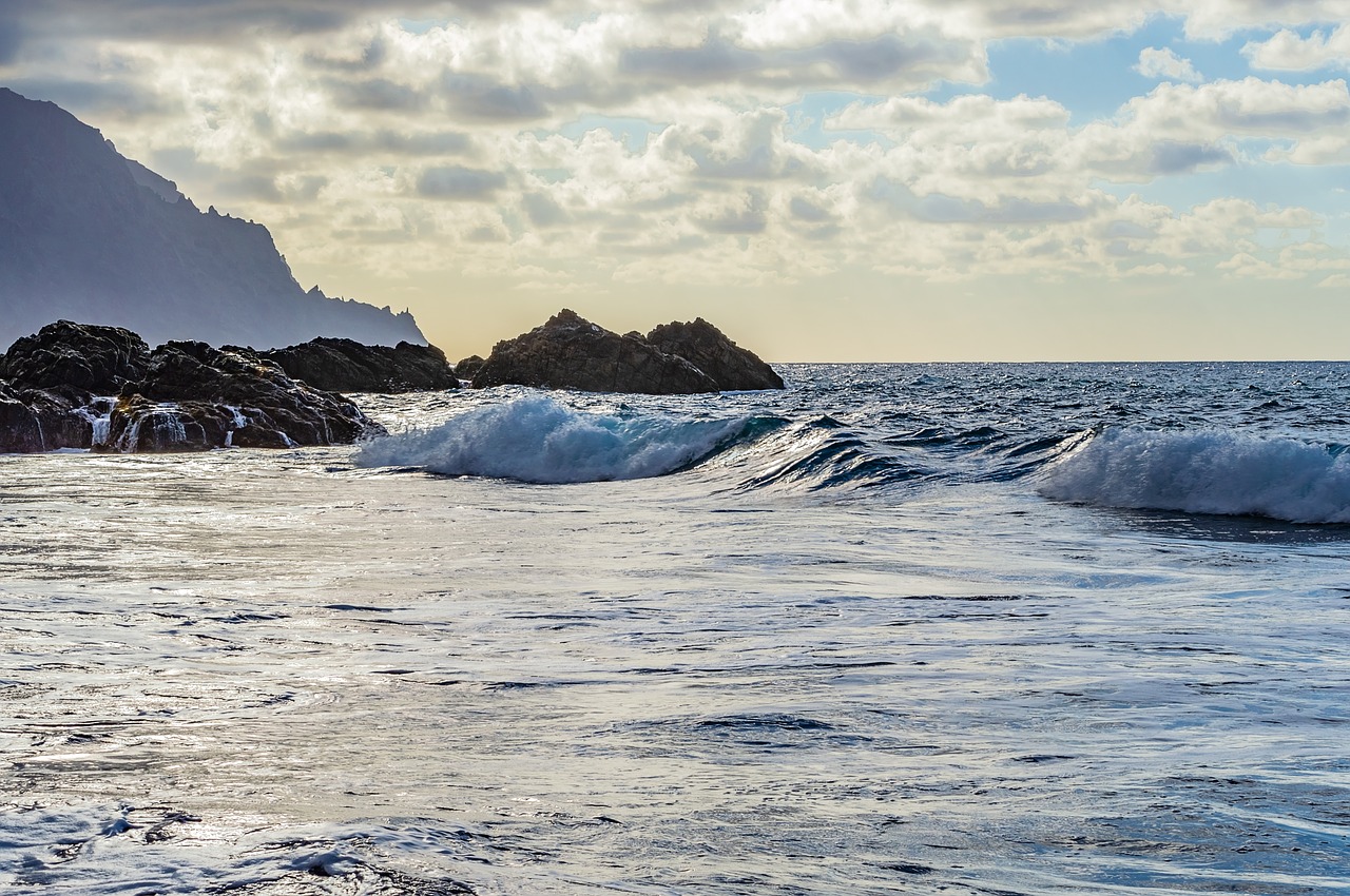 beach  wave  sunset free photo