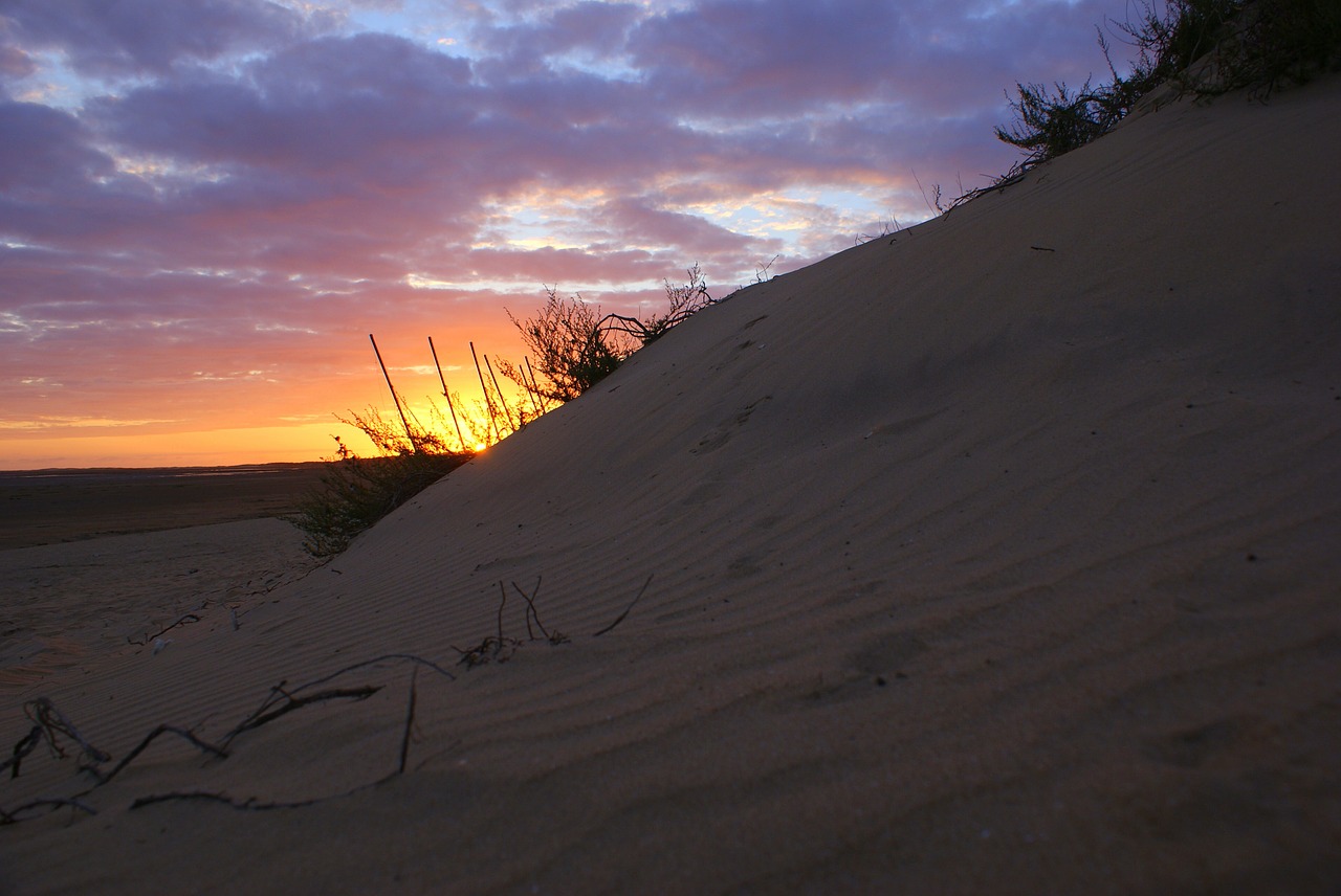 beach  sunset  sea free photo