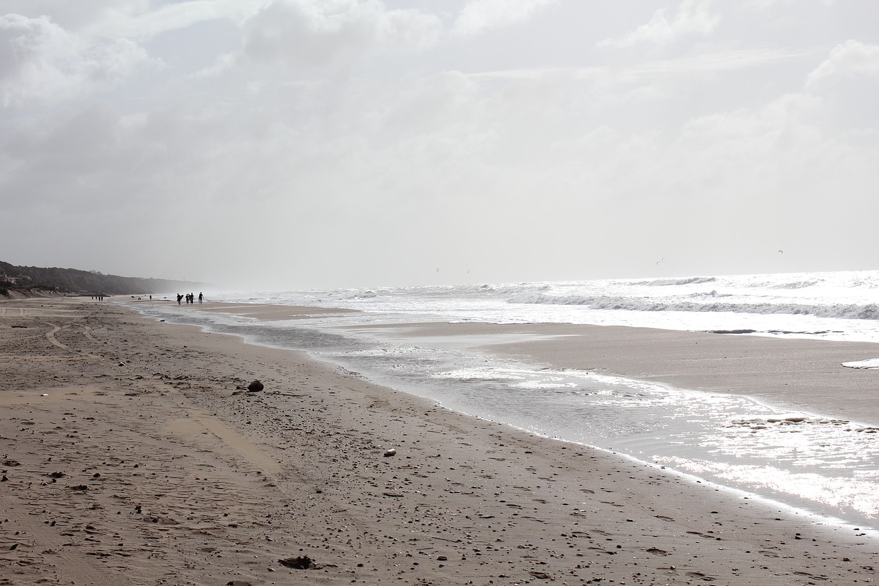 beach  winter  water free photo