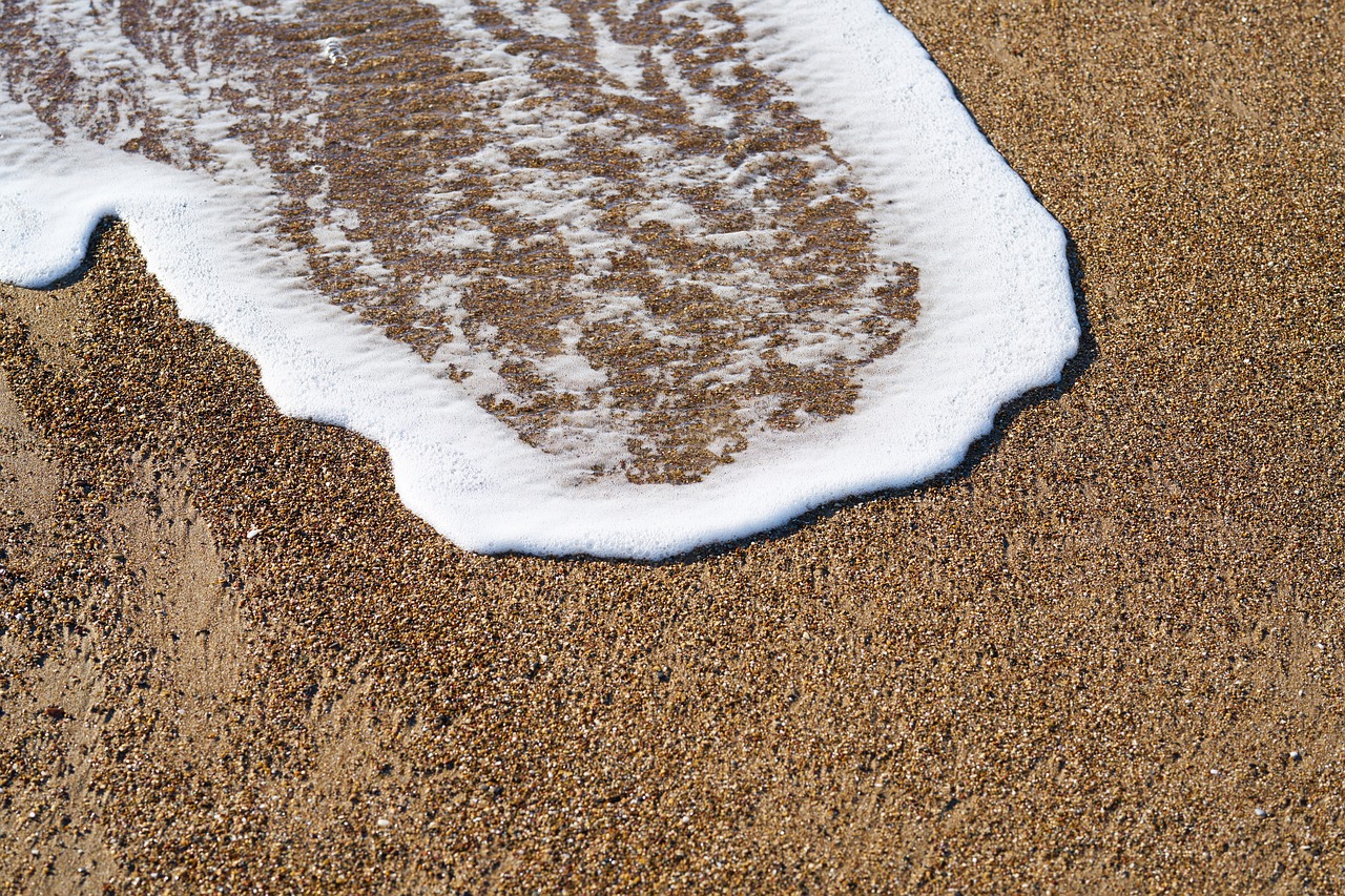 beach  wave  foam free photo
