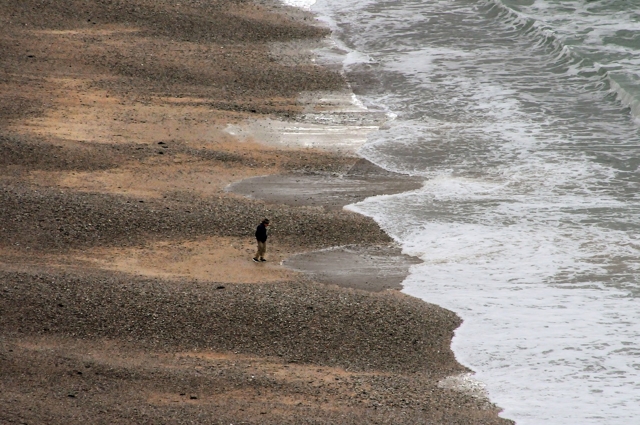 beach  sea  ocean free photo