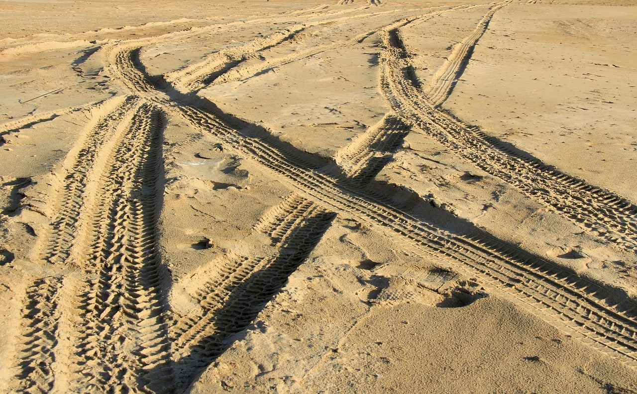 beach  sand  tracks free photo