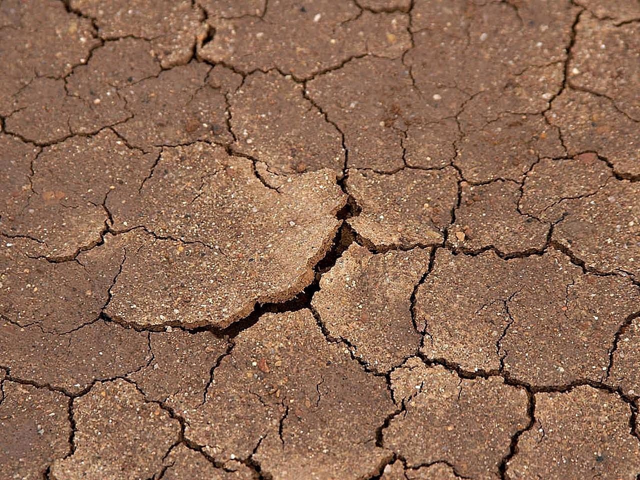 beach mud dried free photo