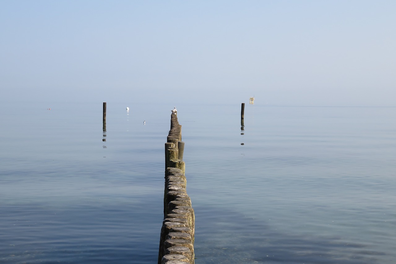 beach  baltic sea  water free photo