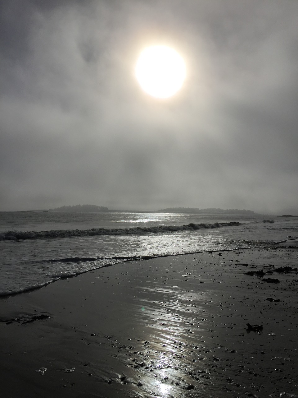 beach  sand  ocean free photo