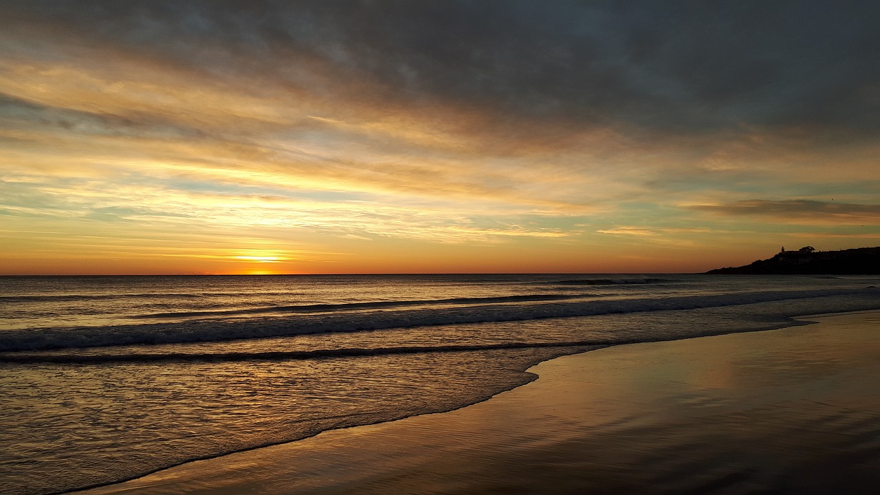 beach  dawn  sea free photo