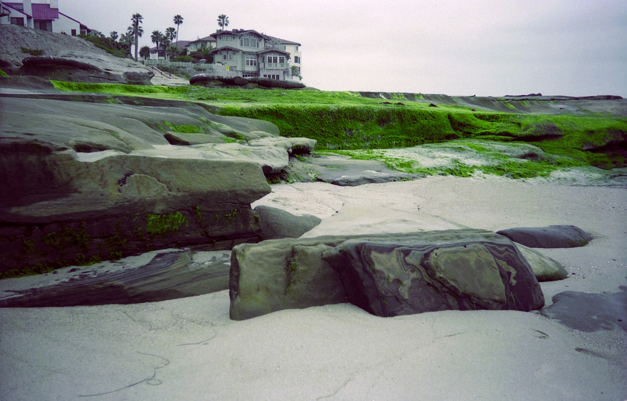 beach  rocks  ocean free photo