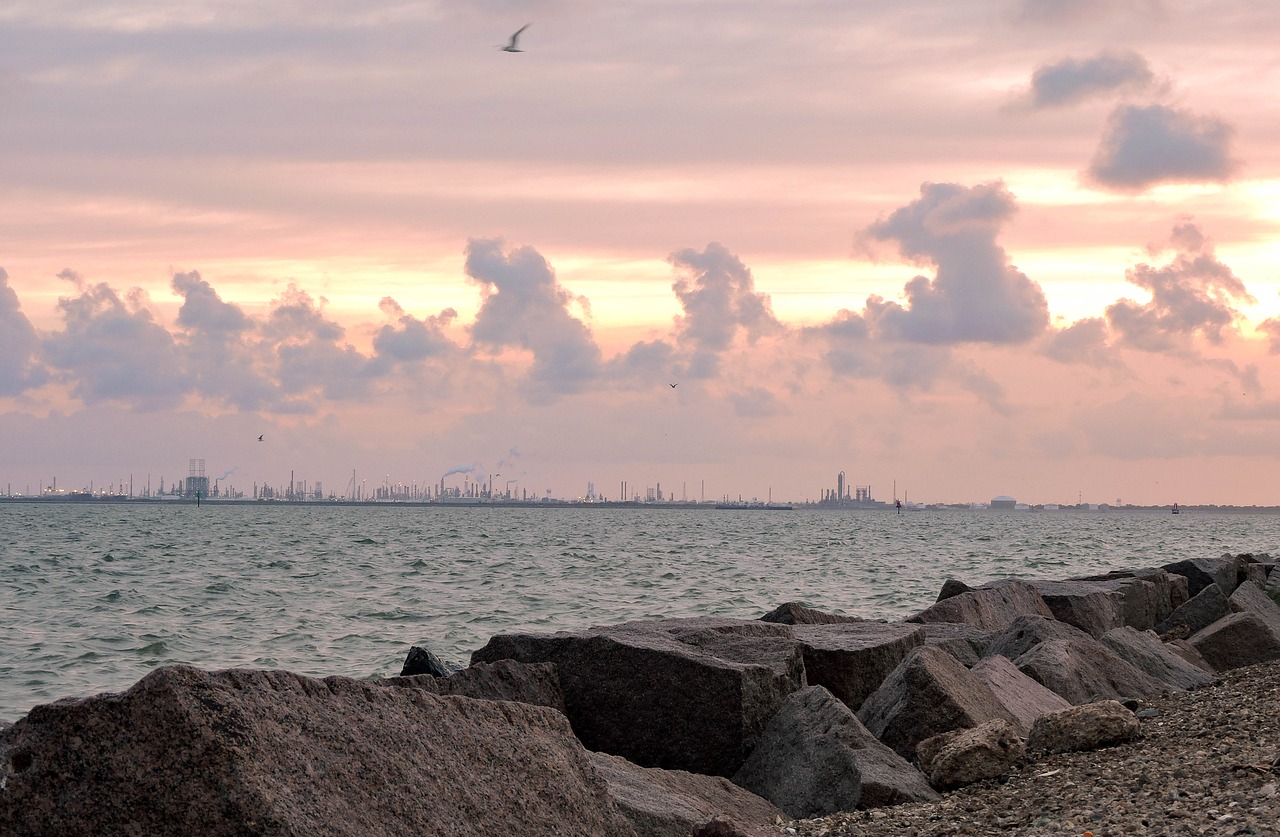 beach  sunset  birds free photo