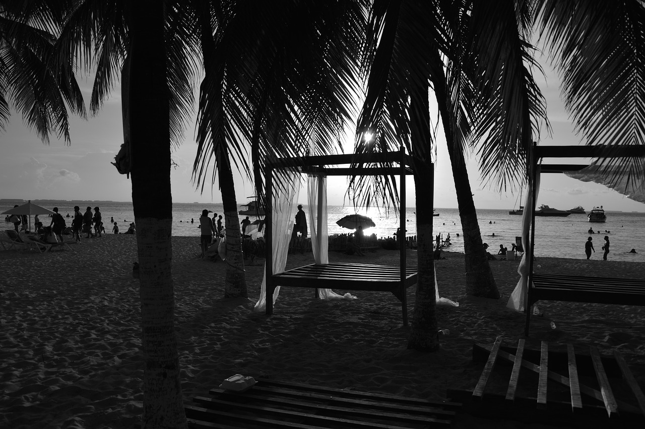 beach  sunset  black and white free photo