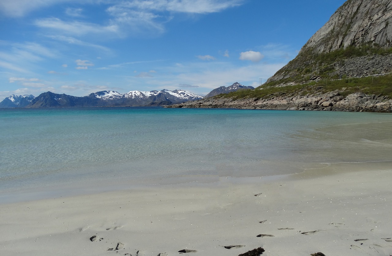 beach  water  sand free photo