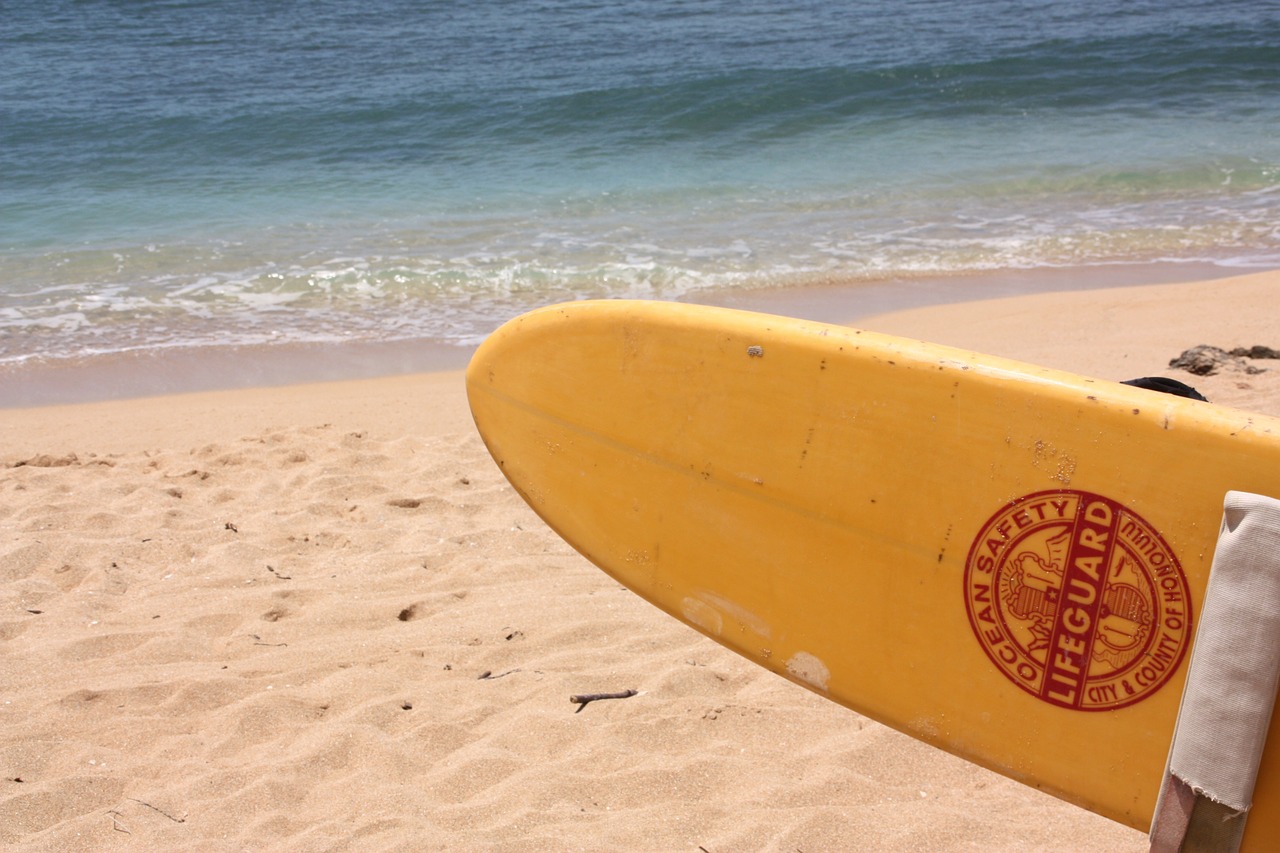 beach  surfboard  holiday free photo