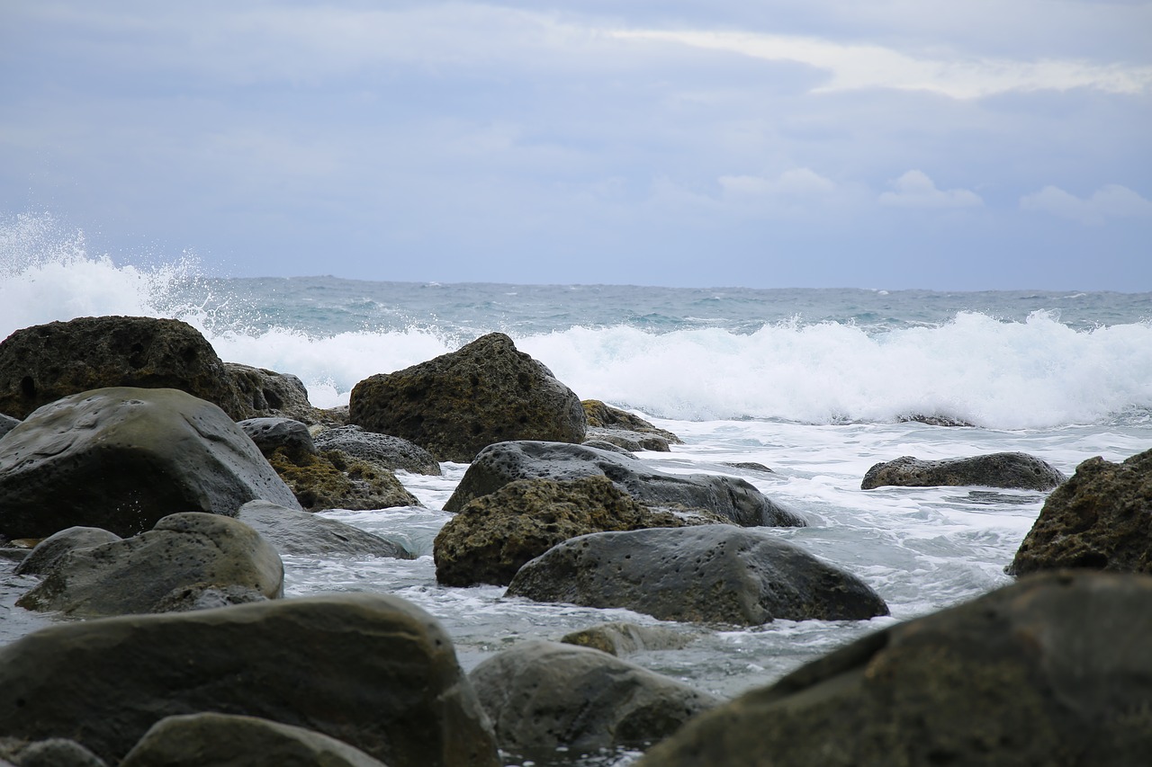 beach  marine  sea free photo