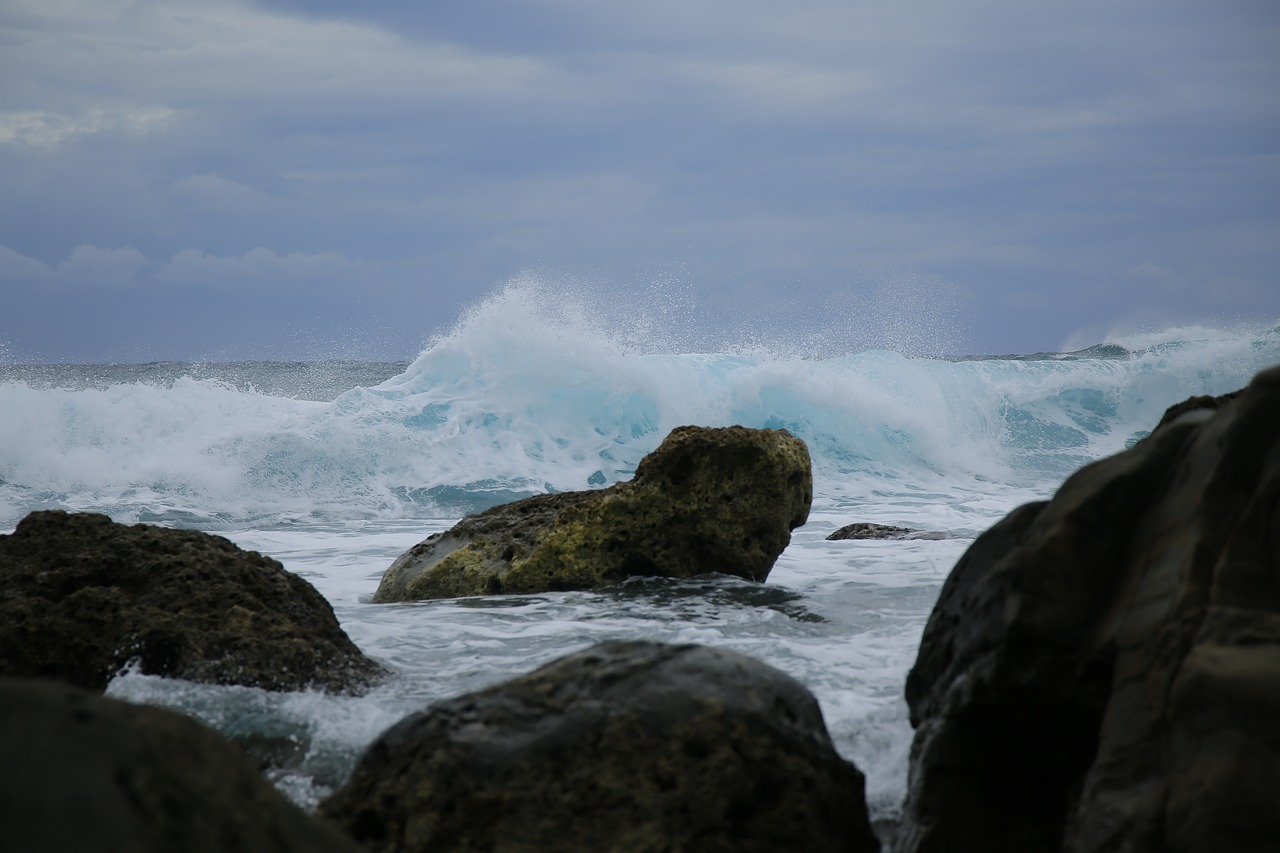 beach  marine  sea free photo